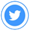 Twitter Icon
